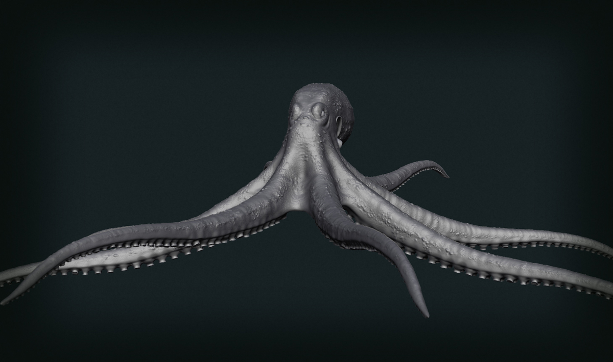 Octopus wip11.jpg