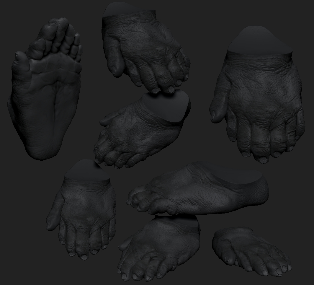 Monster Feet.jpg