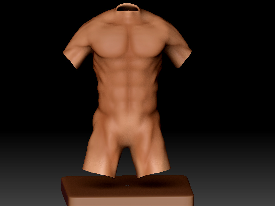 torso.jpg