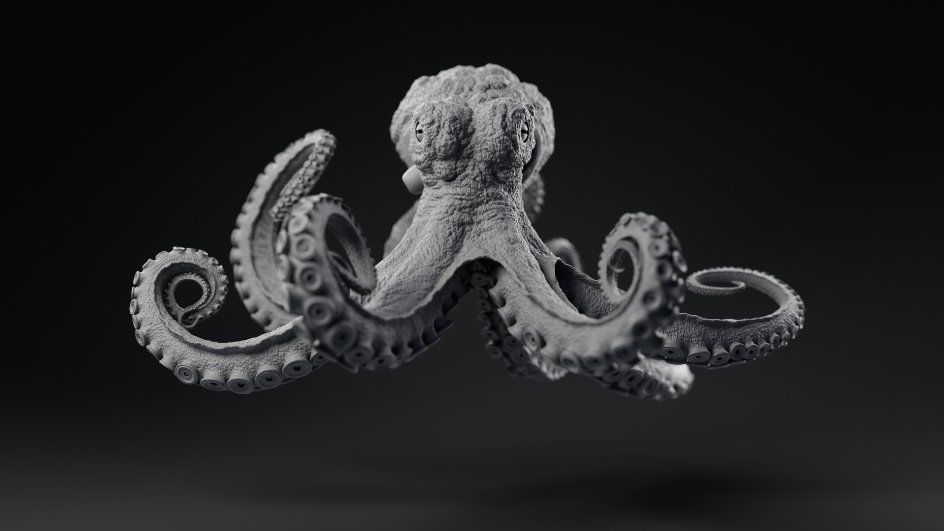 Octopus_model_TurntableFrames_Grey_ZbrushCentral_v021_0001.jpg