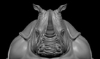 RhinoThumb.jpg