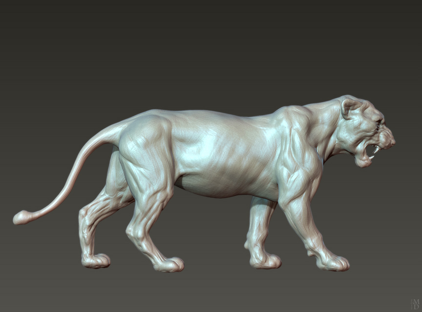 2_lion19.jpg