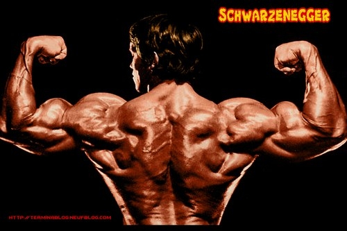 Schwarzenegger.jpg