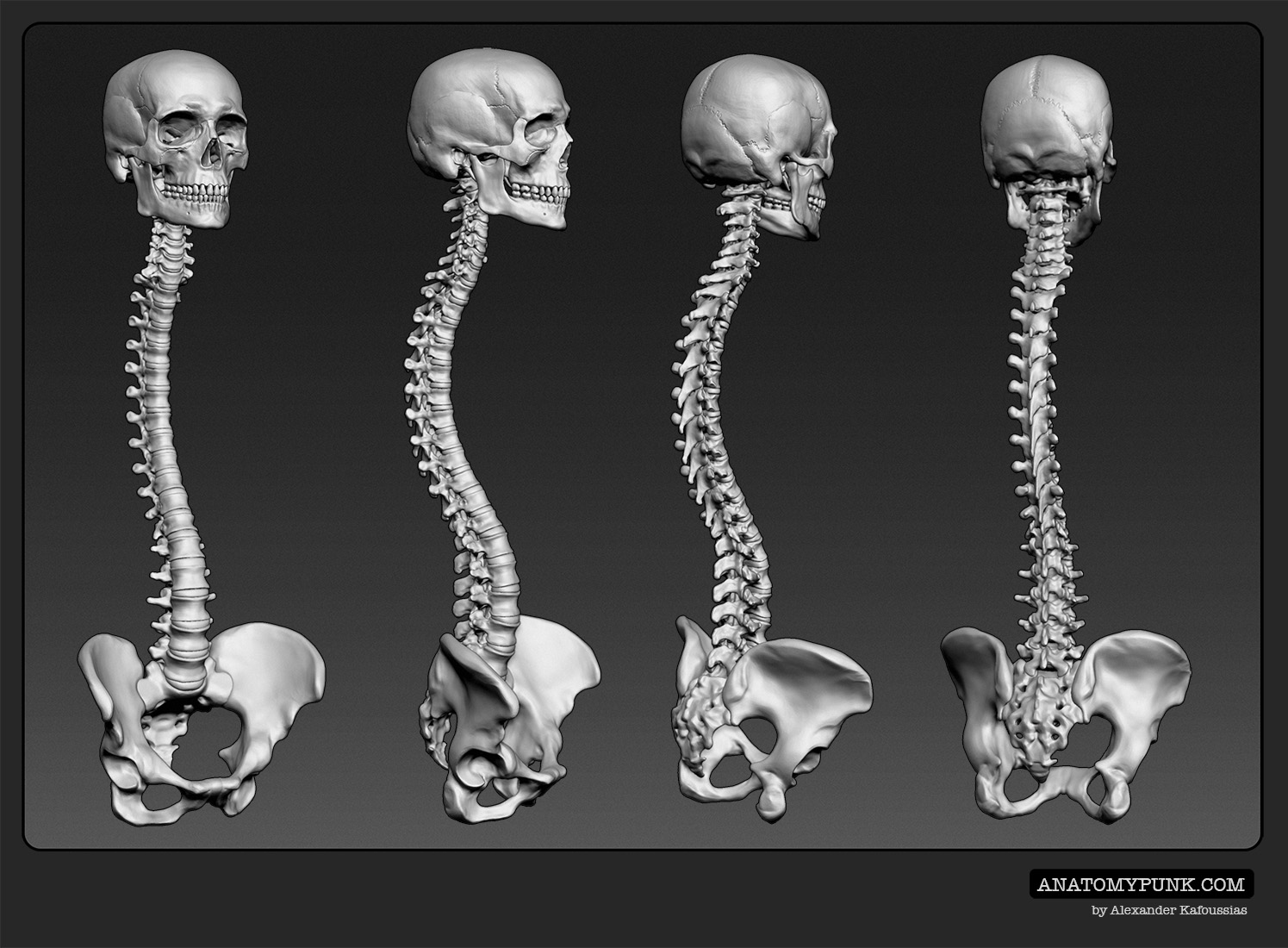 Skeleton5_anatomypunk.jpeg