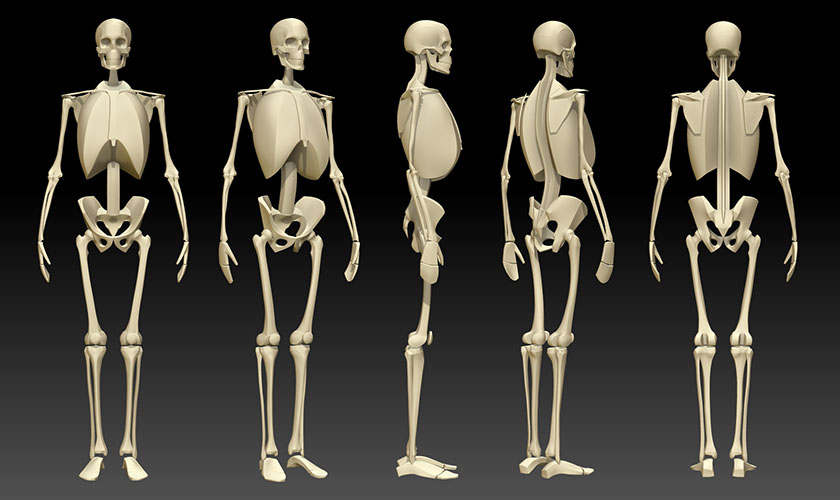 skeleton01.jpg
