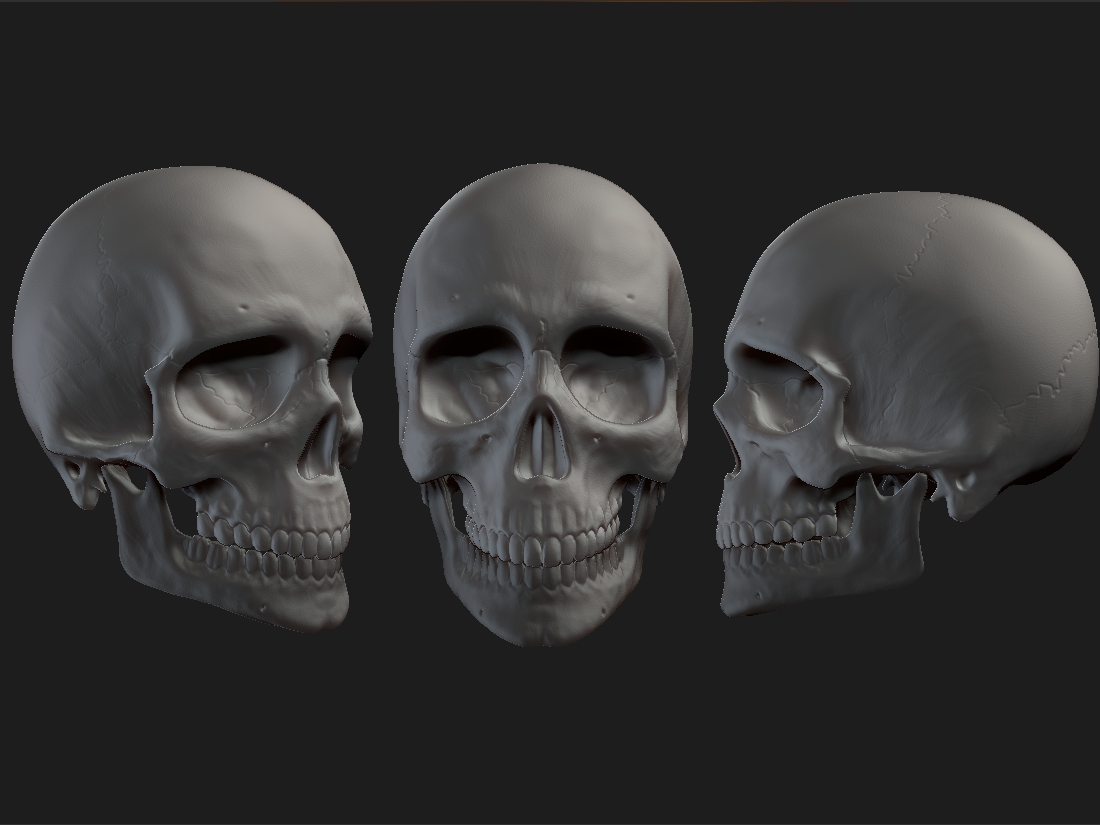 skull01.jpg