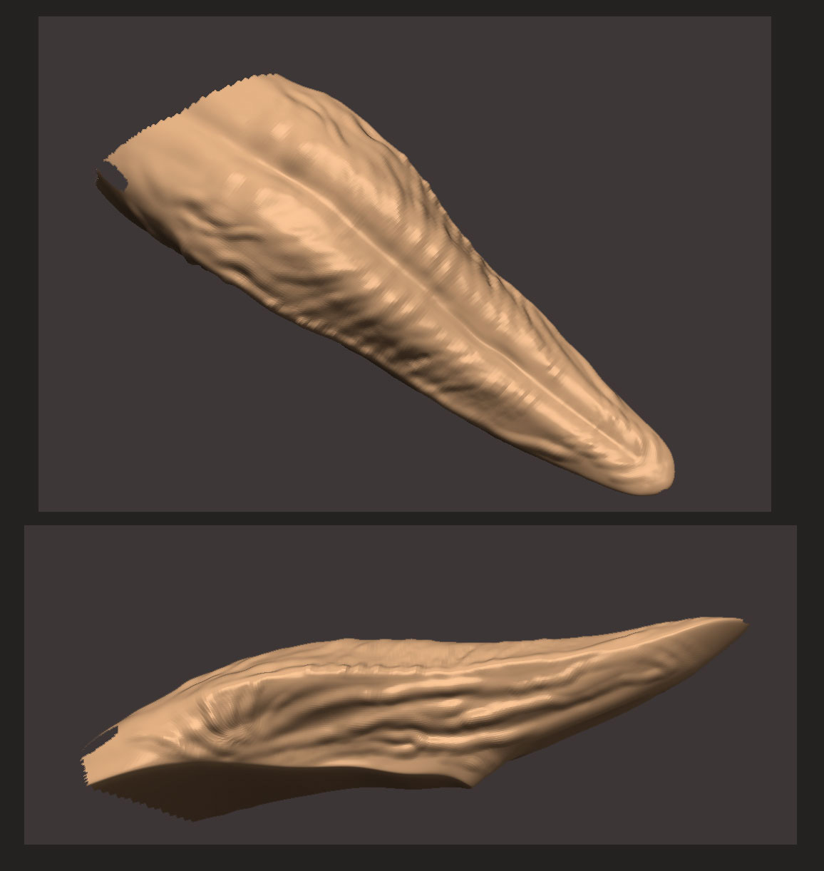 GORGOSAURUS_59