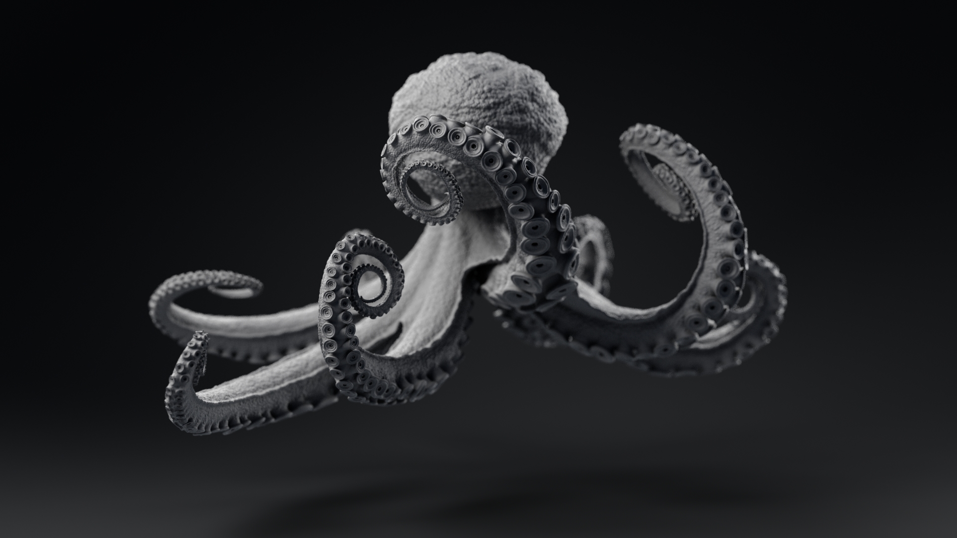 Octopus_model_TurntableFrames_Grey_ZbrushCentral_v021_0061.jpg