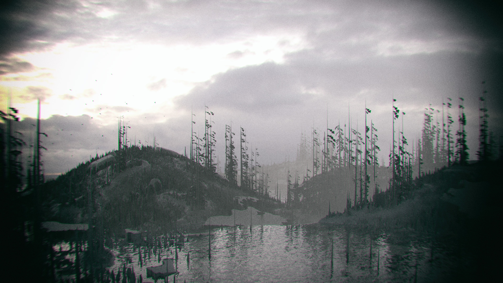 ForestScene_ZBC_03.jpg