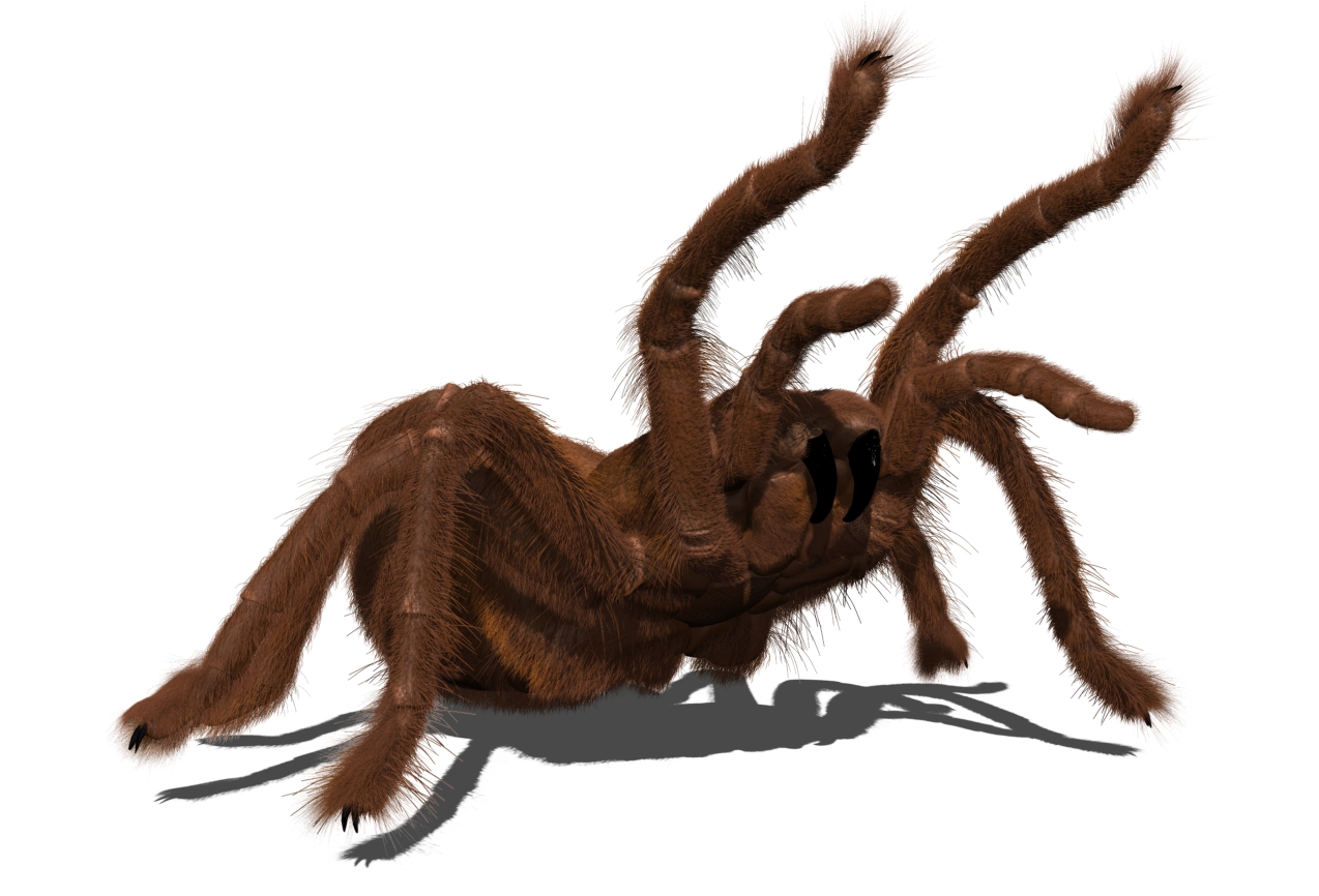 spider paint tuesday.jpg