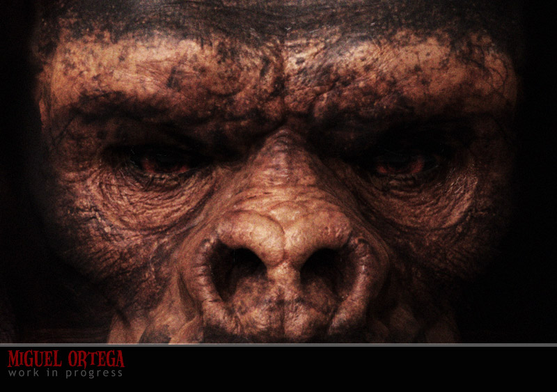 gorilla_eyes.jpg