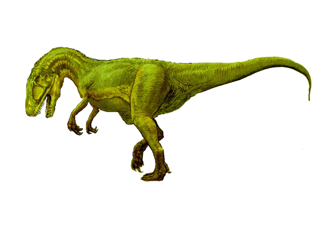Giganotosaurus.jpg