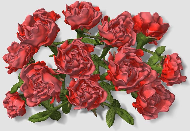 roses2b.jpg