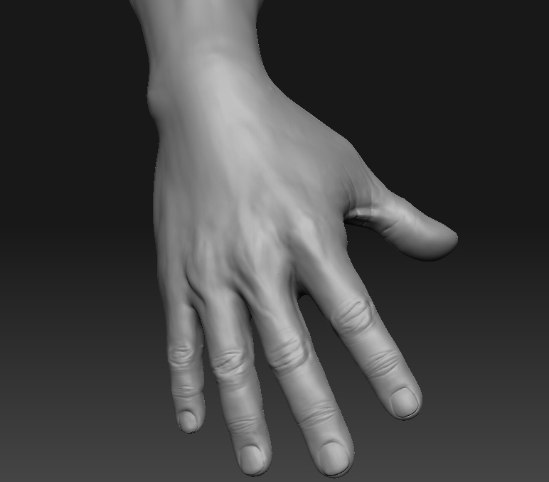 hand.jpg
