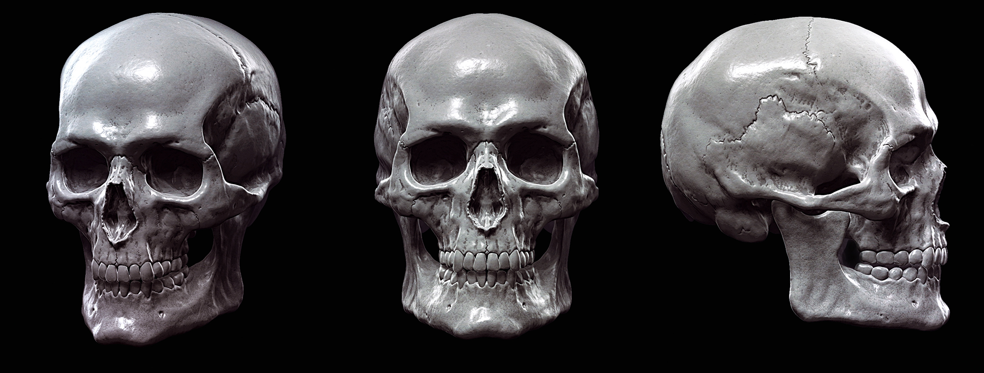 skull_sculpting.jpg