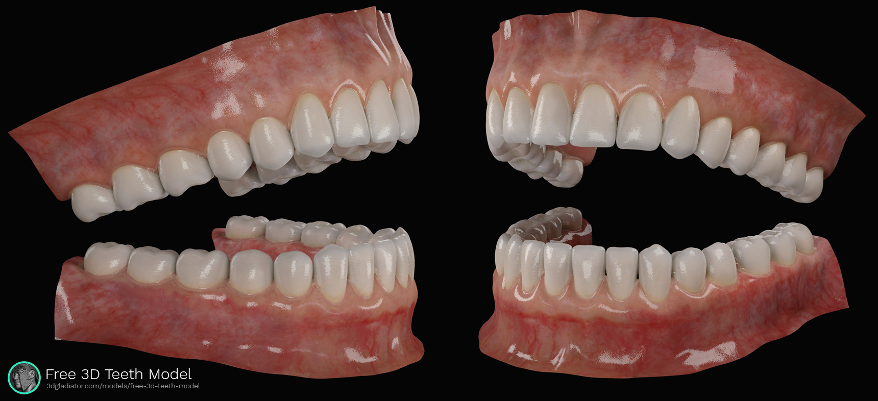 free-3d-teeth-download-02.jpg