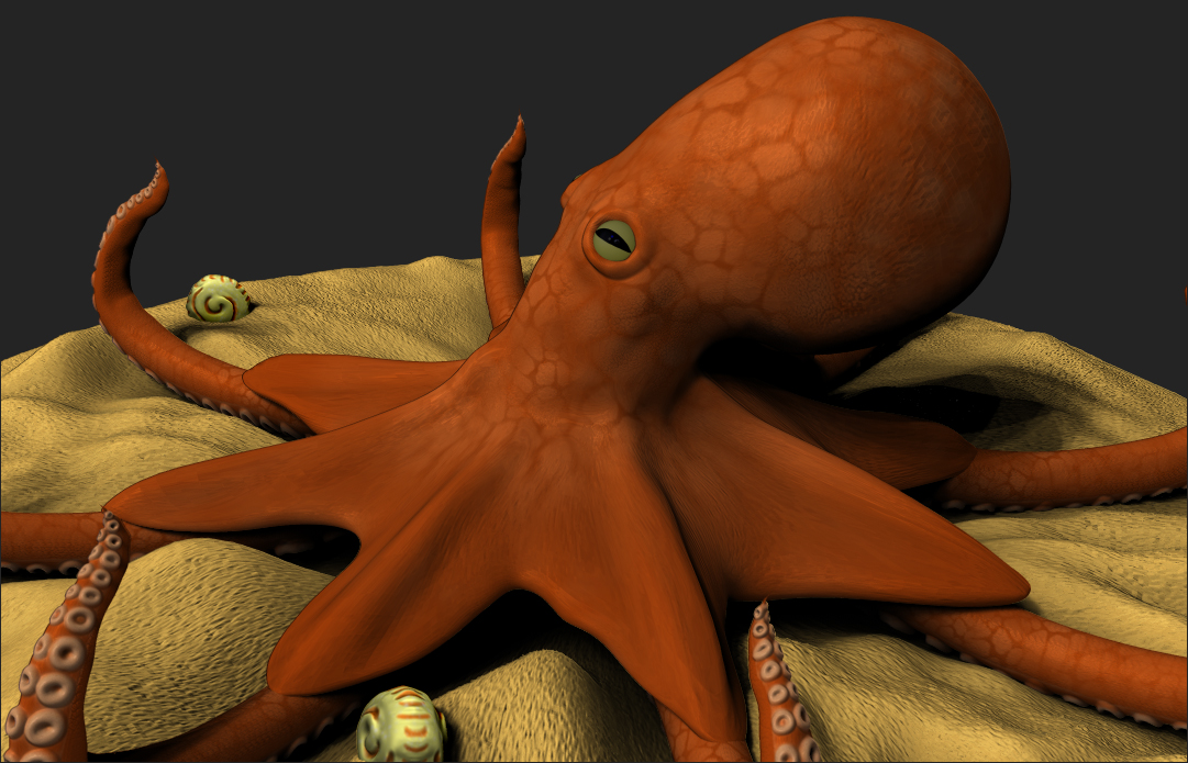 Octopus Color Scene 3.jpg