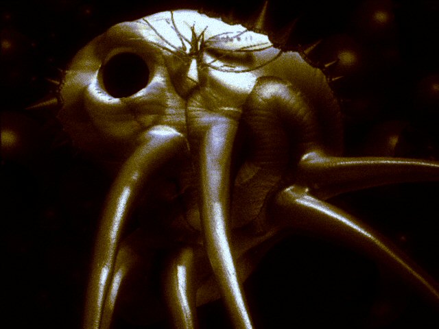 what lurks beneath.jpg