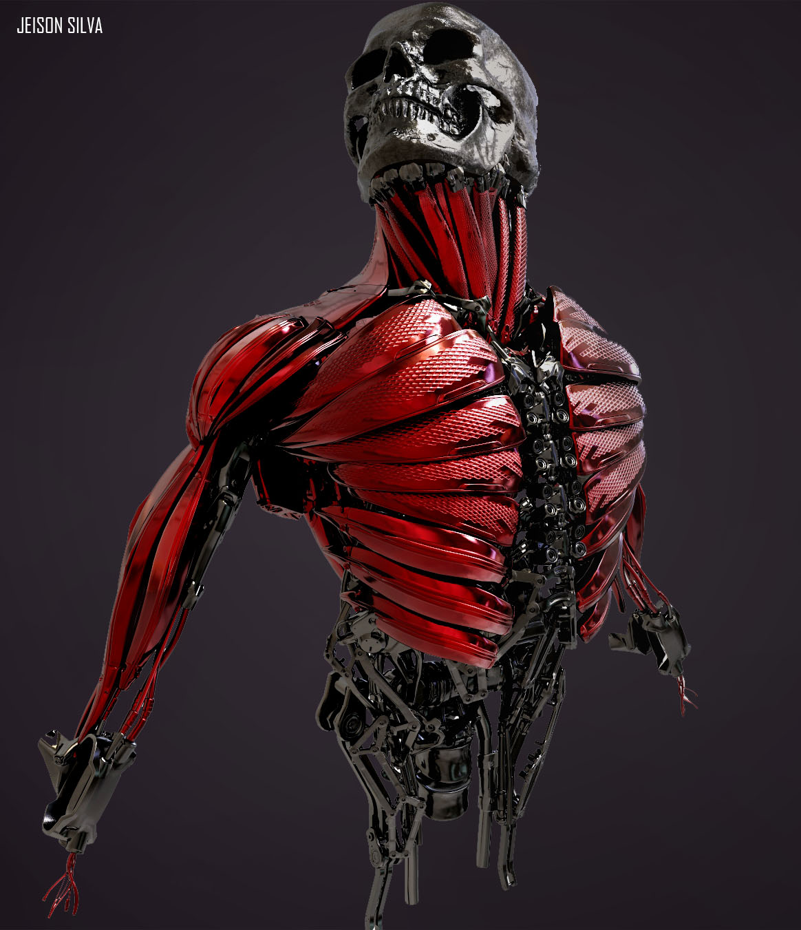 skull_muscles_2.jpg