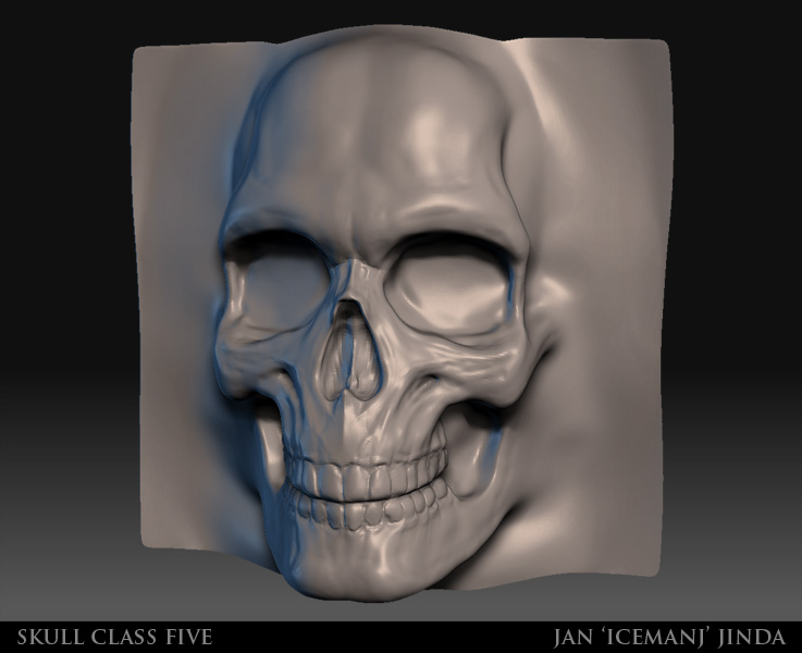 skull_class_five_2.jpg