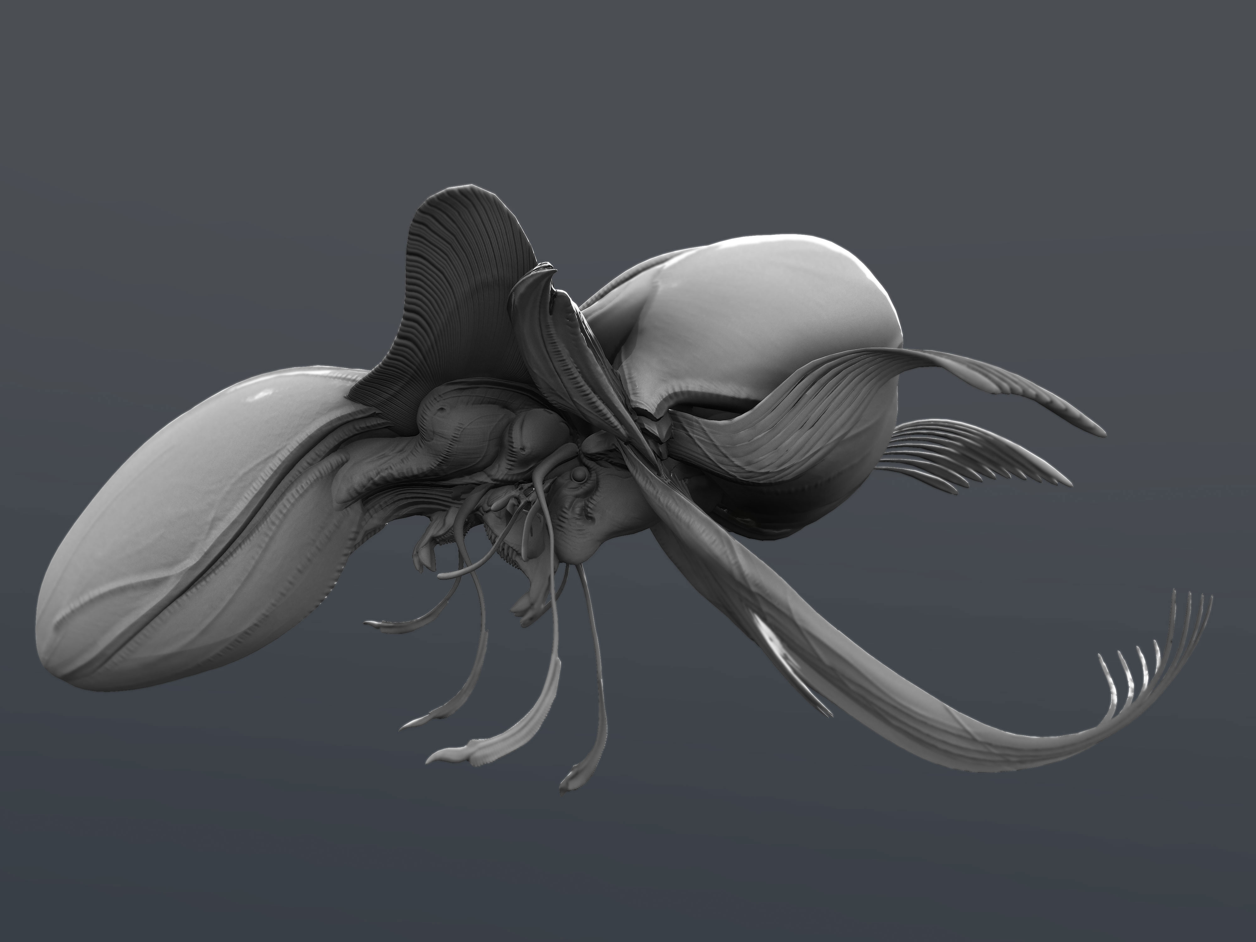 squid02_04.jpg