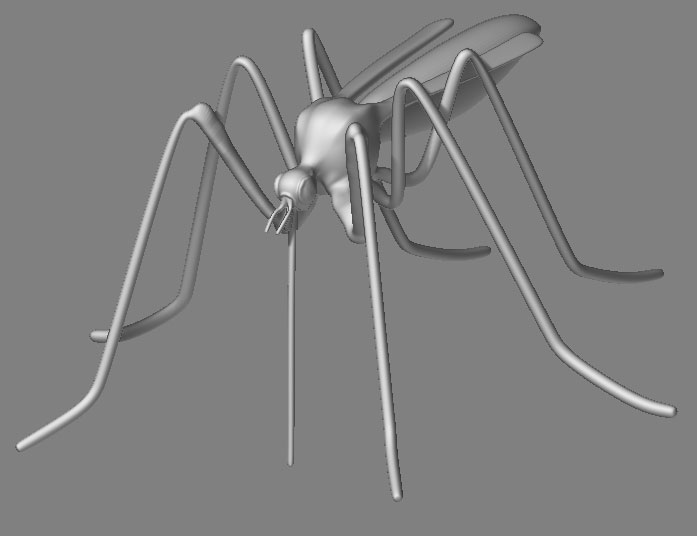 Aedes-aegypti_render1.jpg