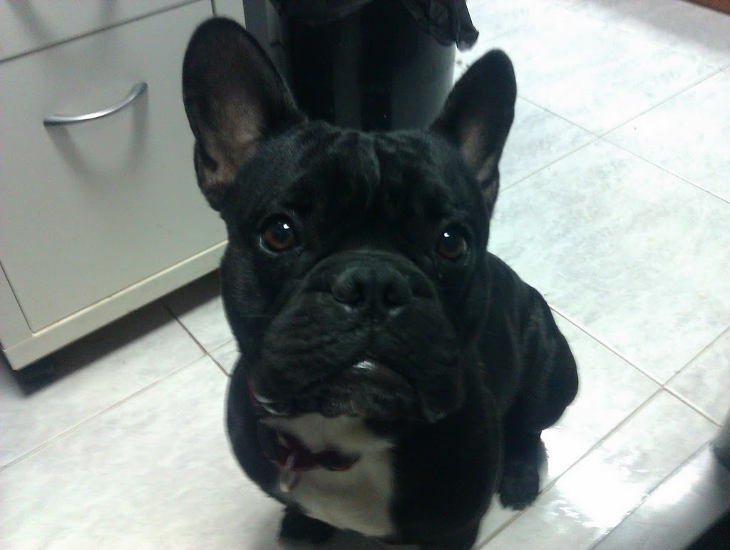 IMAG0223.jpg