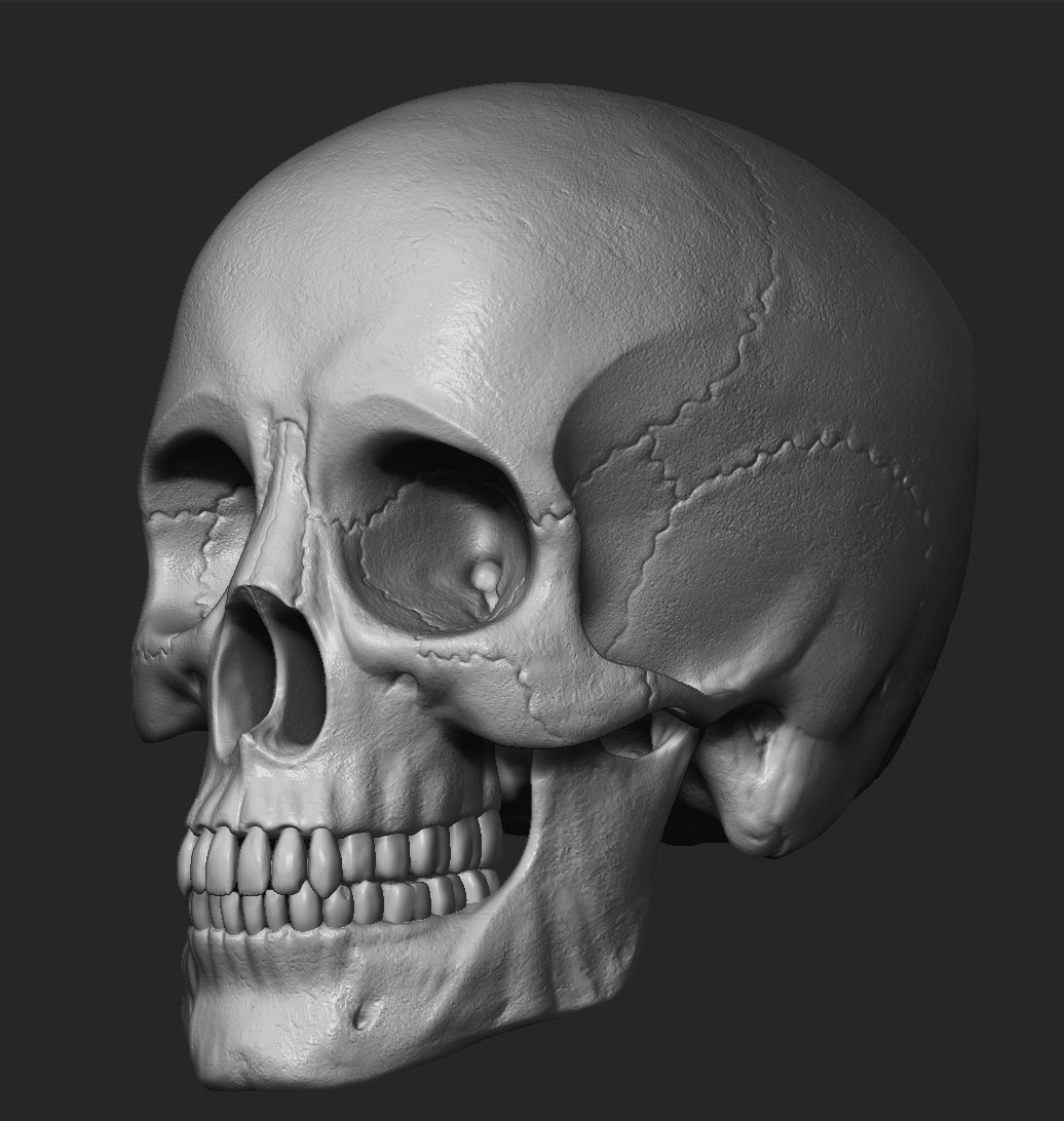 skull WIP.jpg