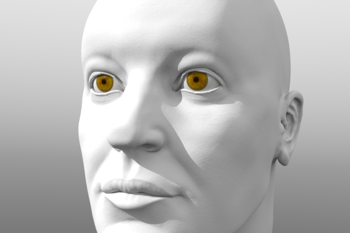 render3.JPG