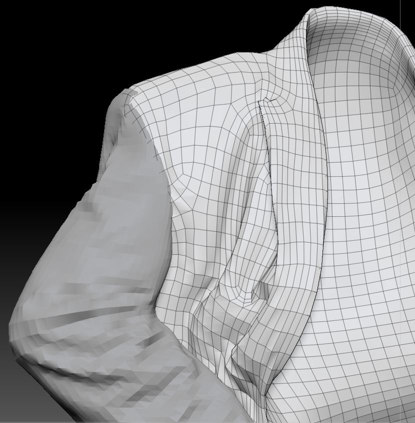 Jacket with arm.jpg