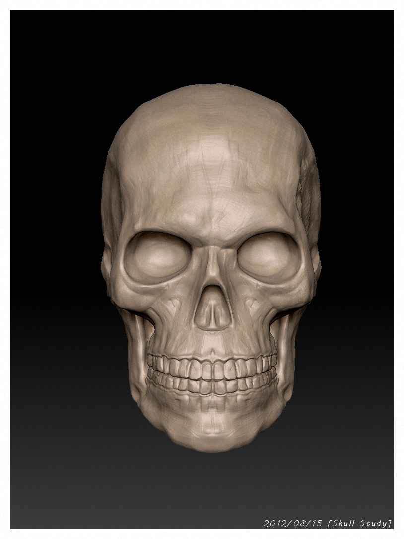 Skull_Study.jpg