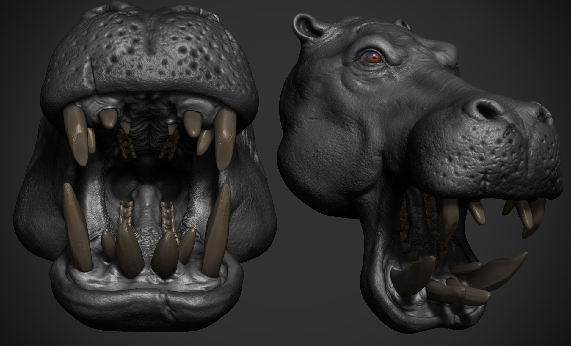 omar-chaouch-hippo-animal-warrior-omar-chaouch-wip-11.jpg