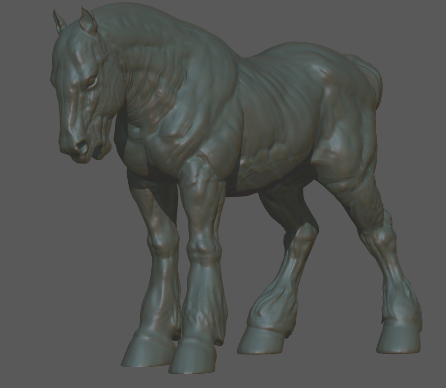 horse1.jpg
