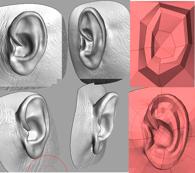 noobie challenge # 6 EAR.JPG