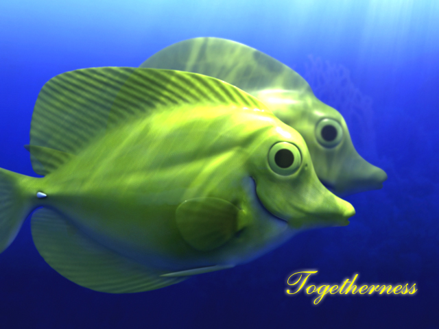 Togetherness.jpg