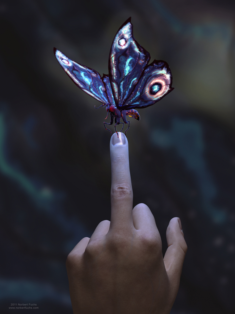 Butterfly_final_s.jpg