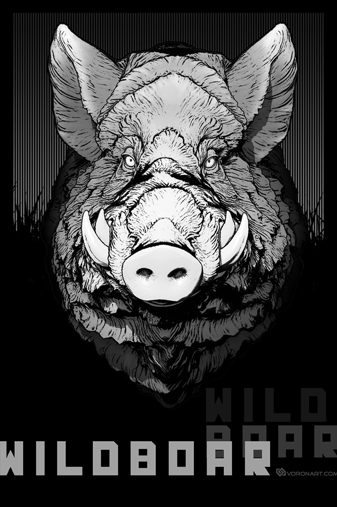 wild-boar-comic-style-illustration-art-from-3d-sculpt-01.jpg