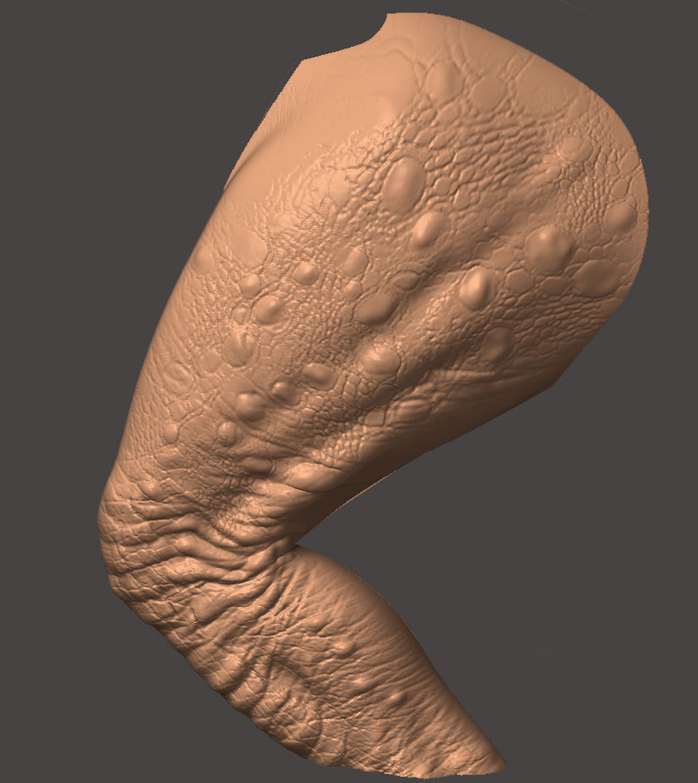 GORGOSAURUS_51