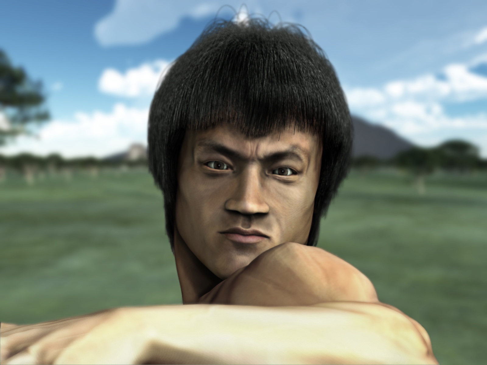 Bruce lee 3d close up perspective.jpg