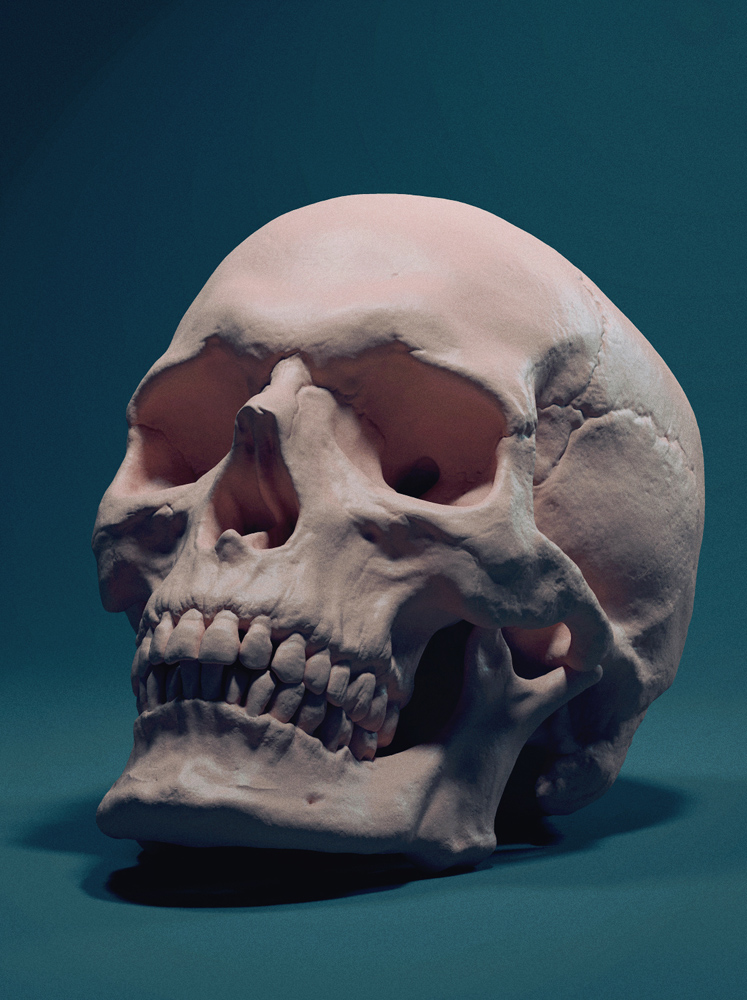 skull zbr3.jpg