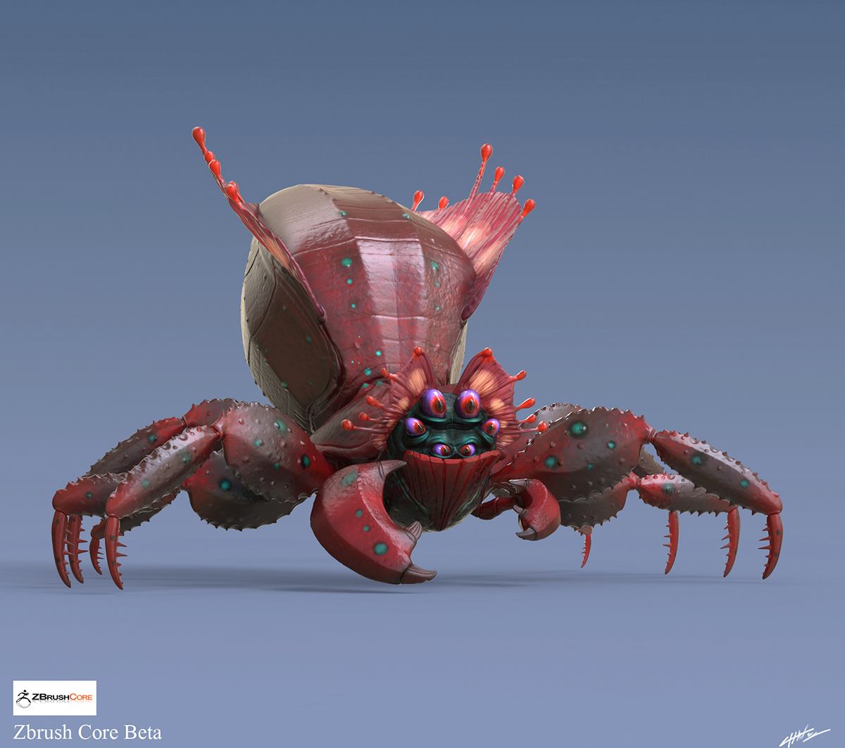 crab spider ortho 4.jpg