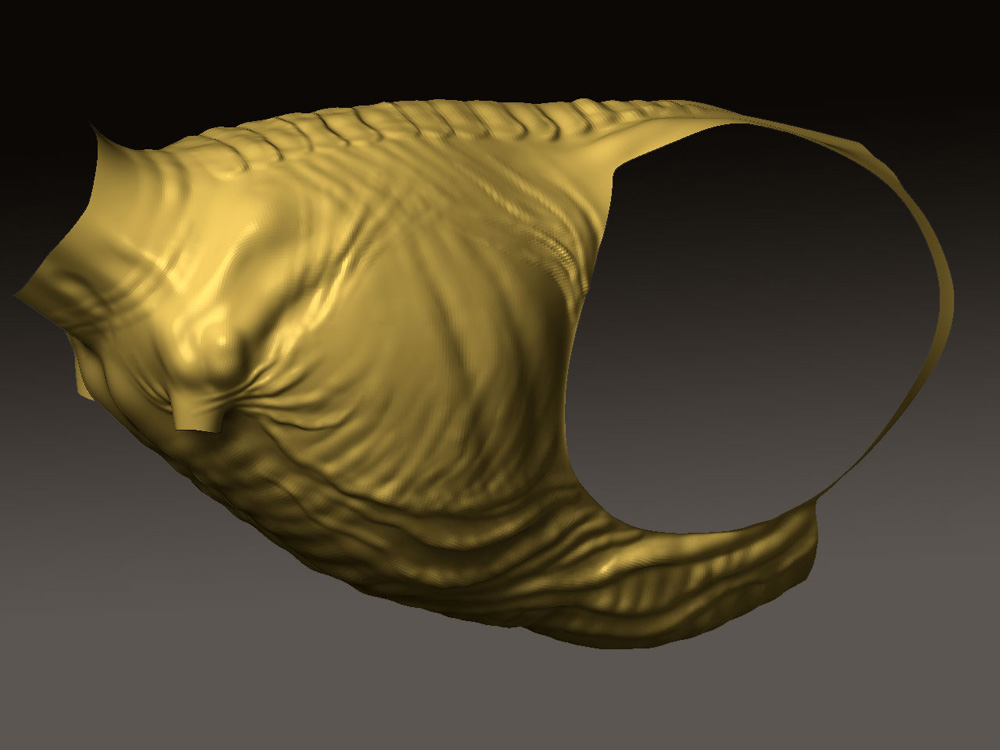 GORGOSAURUS_65