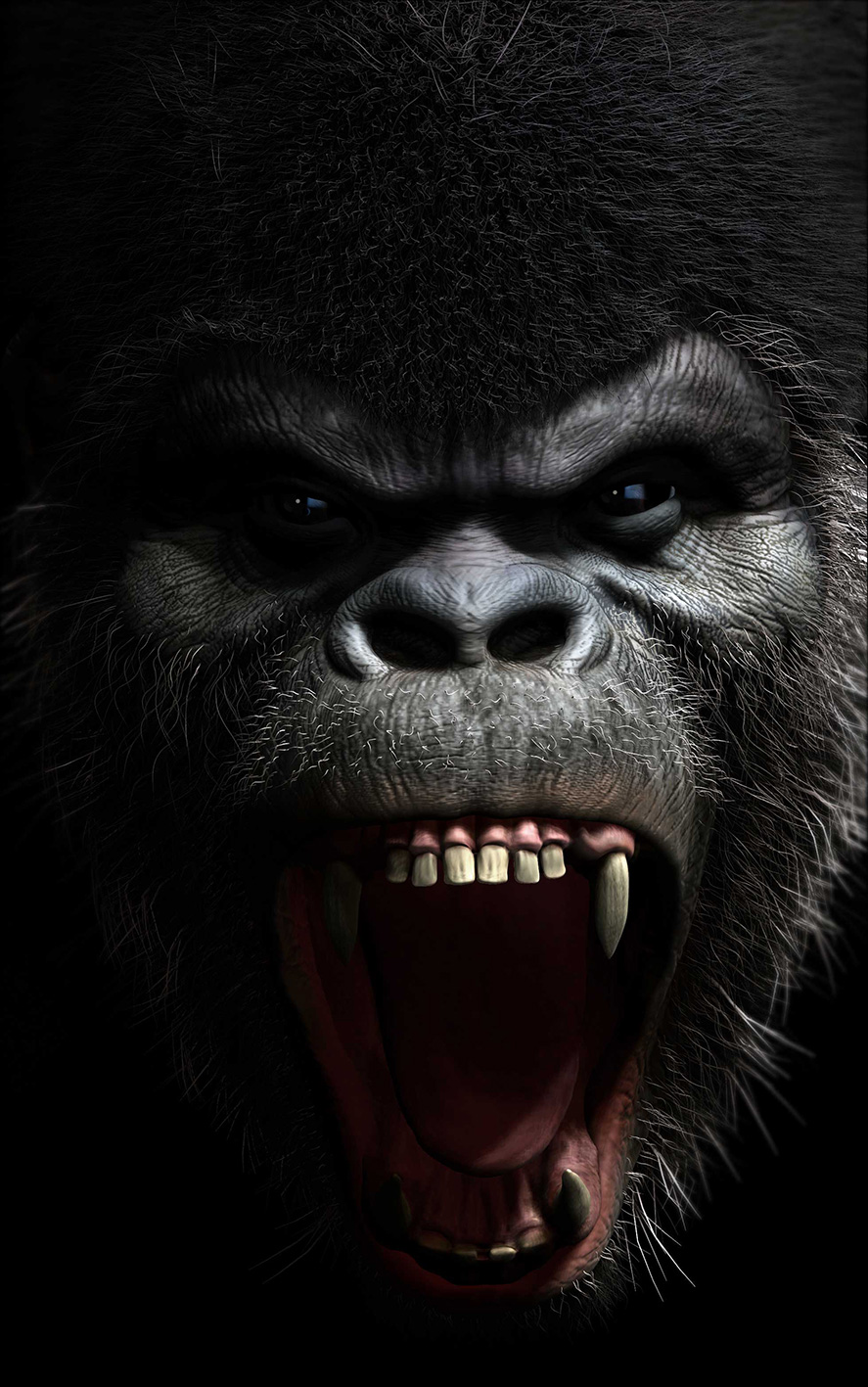 gorilla-facelow.jpg