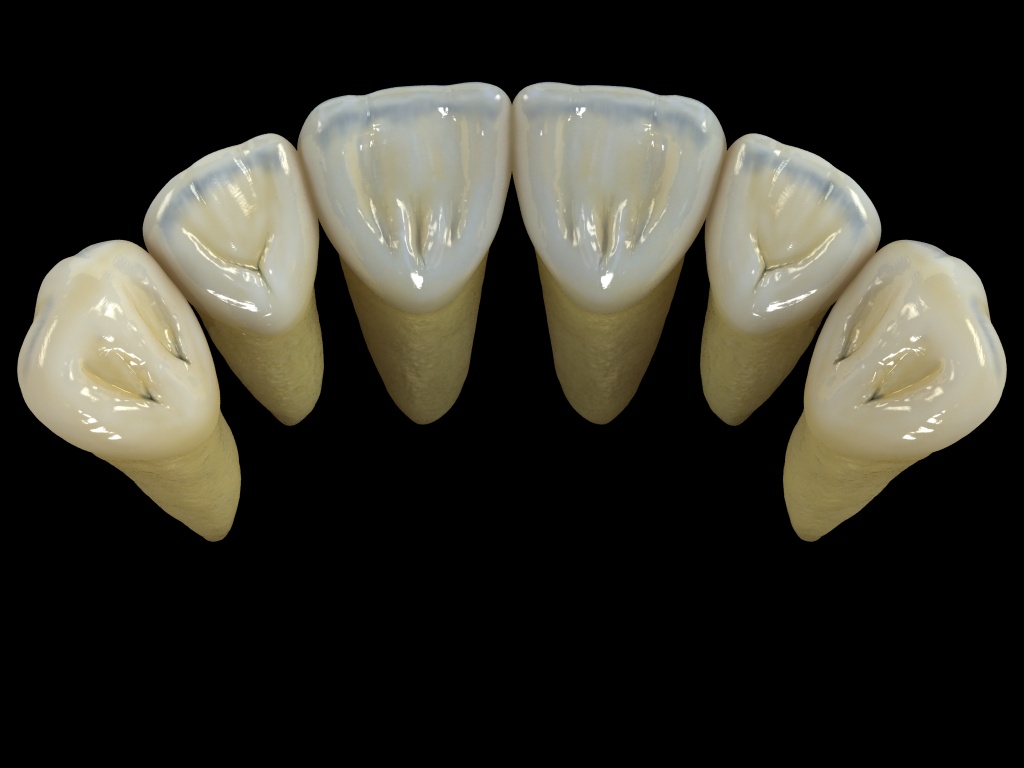 dientes6.jpg