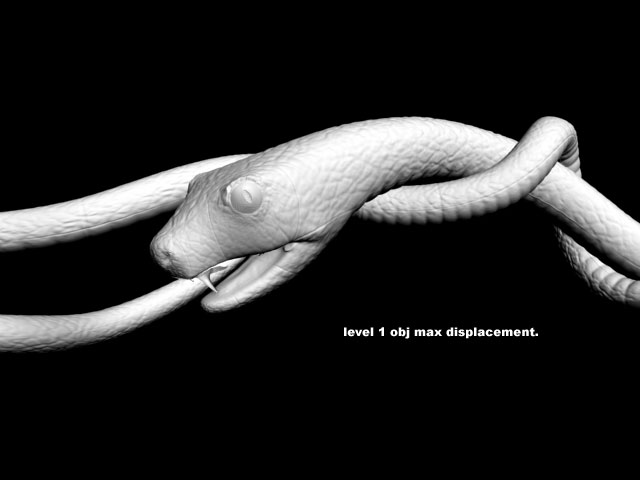 snake-max-disp.jpg
