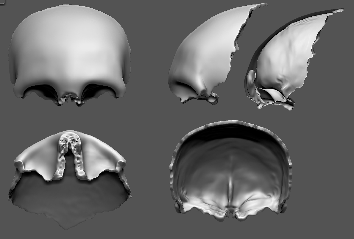 skull v23 sg.jpg