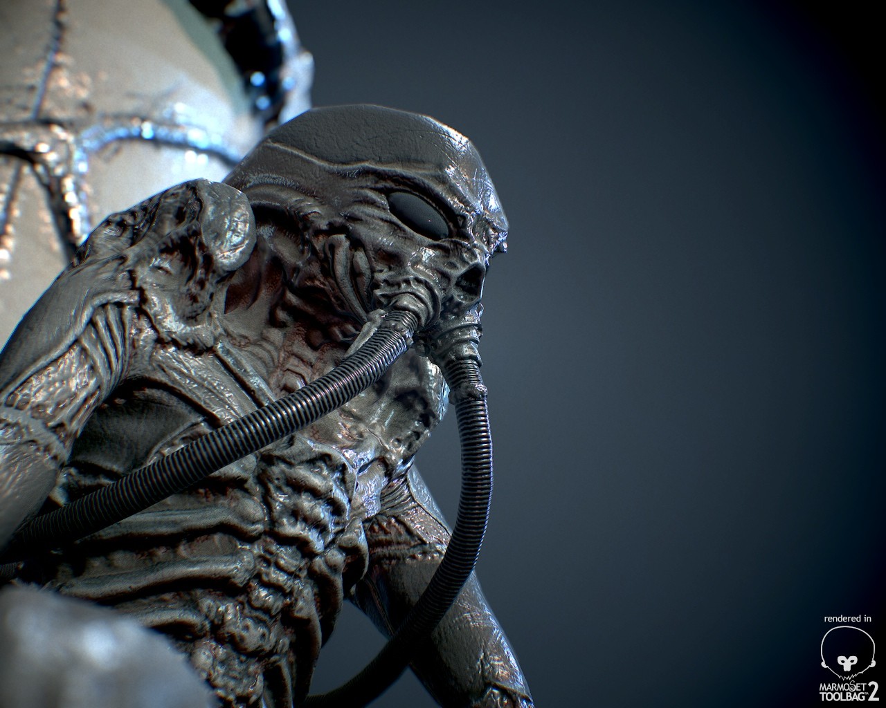 helmut-stark-screenshot001.jpg
