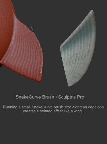 snakecurve_MB