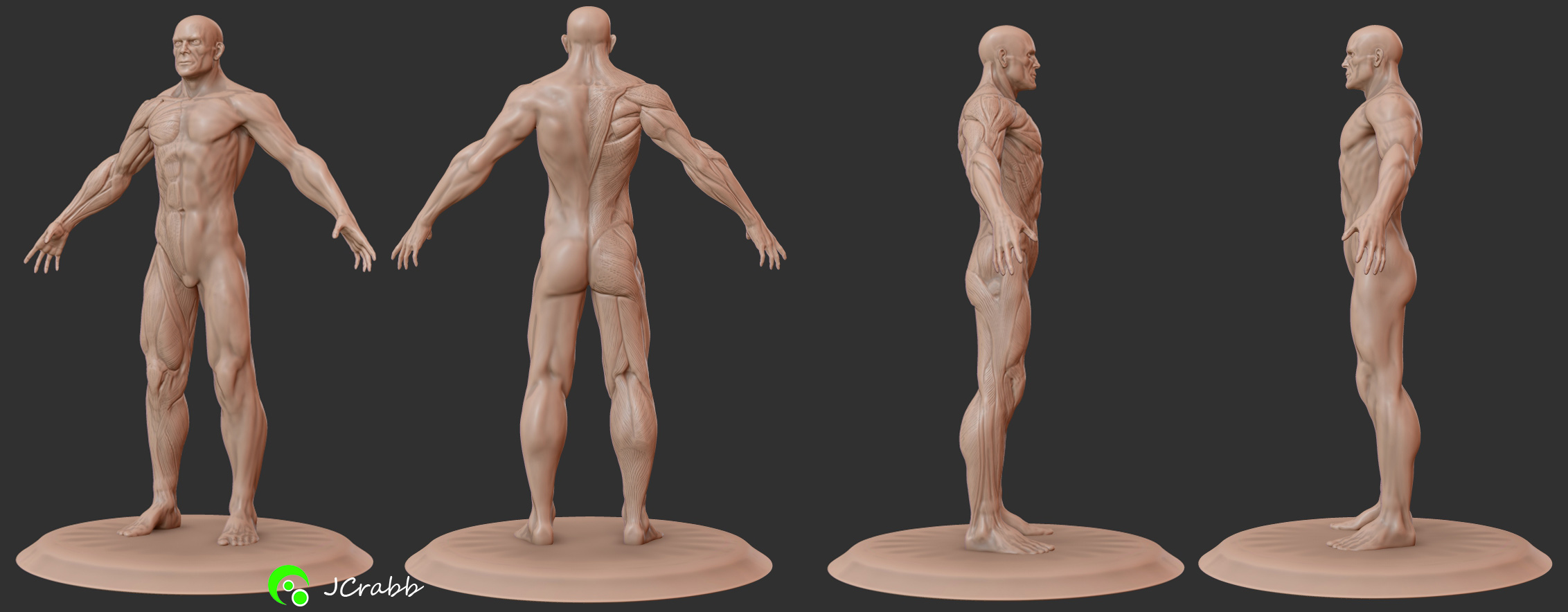 artist anatomy Figurine Comp.jpg