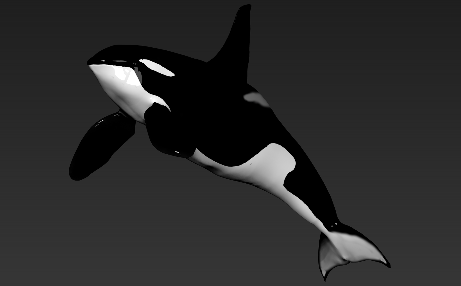orca-male10.png